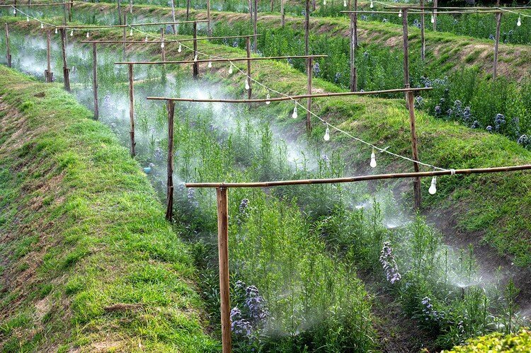 Dārza smidzinātājs - ūdens aizkars, 20m цена и информация | Laistīšanas sistēmas | 220.lv