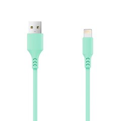 Setty cabel USB - Lightning 1,0 m 2A mint цена и информация | Кабели для телефонов | 220.lv