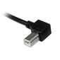 Startech USBAB1ML, USB A/USB B, 1m cena un informācija | Kabeļi un vadi | 220.lv
