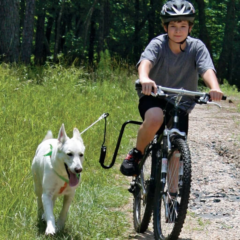 Springer suns velosipēda stiprinājuma komplekts cena un informācija | Suņu pavadas | 220.lv