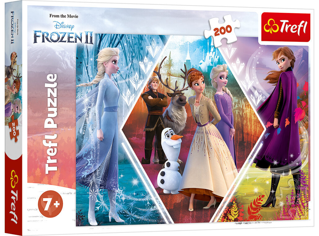 Puzle 261 Frozen 2 / *200gab цена и информация | Puzles, 3D puzles | 220.lv