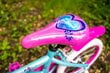 Velosipēds bērniem Huffy So Sweet 16", zils цена и информация | Velosipēdi | 220.lv