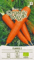Морковь Flakkee 2 цена и информация | Семена овощей, ягод | 220.lv