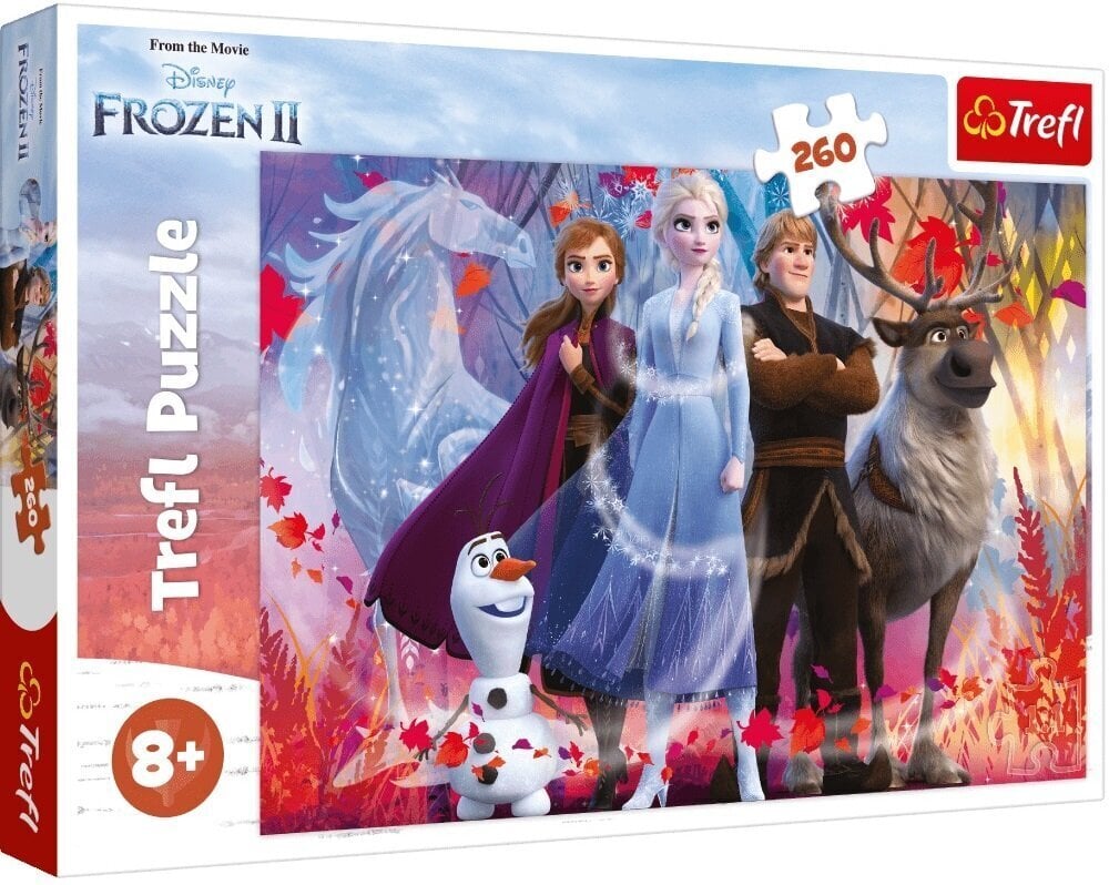 Puzle 274 Frozen 2 / *260gab cena un informācija | Puzles, 3D puzles | 220.lv