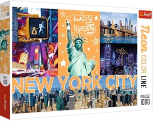 Puzle 359 new york city/ *1000gab cena un informācija | Puzles, 3D puzles | 220.lv