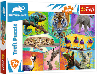 Puzzle 266 animal planet/ *200шт цена и информация | Пазлы | 220.lv