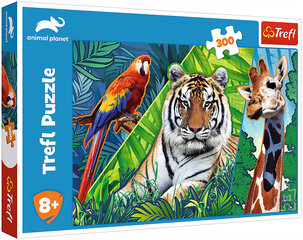 Puzzle 272 animal planet/ *300шт цена и информация | Пазлы | 220.lv