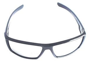 Солнцезащитные очки цена и информация | Солнцезащитные очки для мужчин | 220.lv