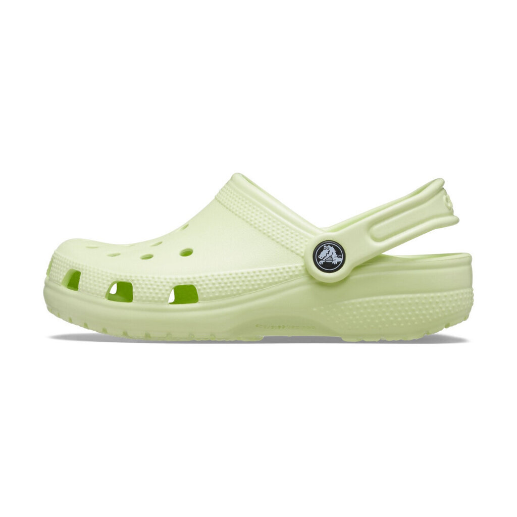 Crocs™ Classic Clog Kid's 166048 цена и информация | Bērnu čības, maiņas apavi | 220.lv