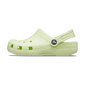 Crocs™ Classic Clog Kid's 166048 цена и информация | Bērnu čības, maiņas apavi | 220.lv