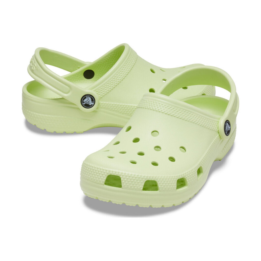 Crocs™ Classic Clog Kid's 166048 цена и информация | Bērnu čības, maiņas apavi | 220.lv