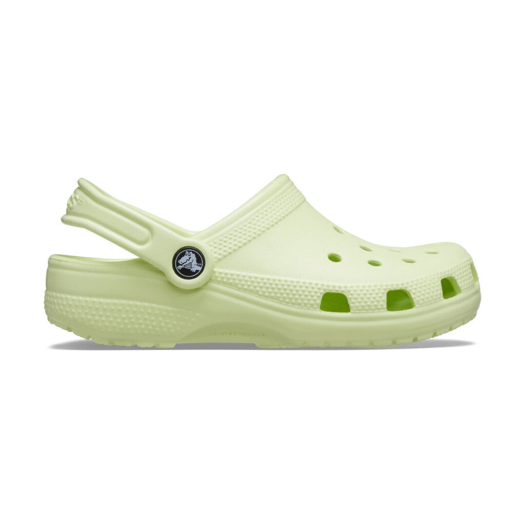 Crocs™ Classic Clog Kid's 166048 цена и информация | Bērnu čības, maiņas apavi | 220.lv