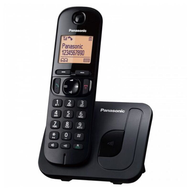 Panasonic KX-TGC210, sudraba цена и информация | Stacionārie telefoni | 220.lv