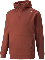 Puma Džemperis Rad/Cal Half-Zip Brown 847436 23 847436 23/M цена и информация | Мужские толстовки | 220.lv