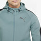 Puma Džemperis Evostripe Full-Zip Mint 847401 50 847401 50/M cena un informācija | Vīriešu jakas | 220.lv