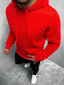 J.Style Džemperis Red 68B10003-18 68B10003-18/M цена и информация | Vīriešu jakas | 220.lv
