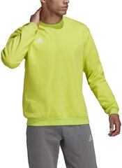 Adidas Džemperis Ent22 Sw Top Yellow HC5049 HC5049/XL цена и информация | Мужские толстовки | 220.lv