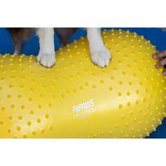 FitPAWS dzīvnieku līdzsvara platforma Trax Peanut, 40 cm, dzeltena cena un informācija | Piederumi suņu trenēšanai | 220.lv