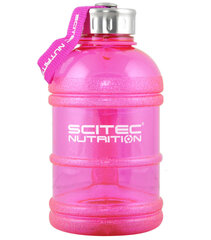 Scitec Nutrition Water Jug 1300 ml cena un informācija | Ūdens pudeles | 220.lv