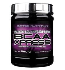 Scitec Nutrition BCAA Xpress, 280 g cena un informācija | Aminoskābes | 220.lv