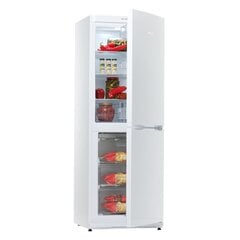 Snaigė RF30SM-S0002F цена и информация | Холодильники | 220.lv