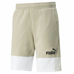 Спортивные мужские шорты Puma Essential+ Block цена и информация | Мужская спортивная одежда | 220.lv