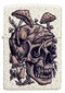 Zippo šķiltavas 49786 Skullshroom Design цена и информация | Šķiltavas un aksesuāri | 220.lv