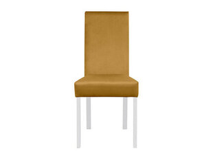 Krēsls BRW Campel, balts/dzeltens cena un informācija | Virtuves un ēdamistabas krēsli | 220.lv