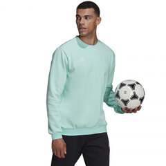 Adidas Džemperis Ent22 Sweat Top Mint HC5047 цена и информация | Мужские толстовки | 220.lv