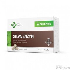 Silva Enzym kaps. N30 cena un informācija | Vitamīni, preparāti, uztura bagātinātāji labsajūtai | 220.lv