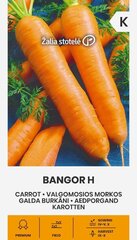 GALDA BURKĀNI BANGOR H цена и информация | Семена овощей, ягод | 220.lv