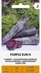 GALDA BURKĀNI PURPLE SUN H цена и информация | Семена овощей, ягод | 220.lv
