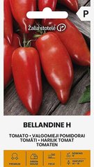 TOMĀTI BELLANDINE H цена и информация | Семена овощей, ягод | 220.lv