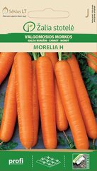 BURKĀNI ĒDAMIE MORELIA H цена и информация | Семена овощей, ягод | 220.lv