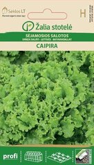 SALĀTU SĒKLAS CAIPIRA цена и информация | Семена овощей, ягод | 220.lv