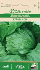 SALĀTU SĒKLAS EXPRESSION цена и информация | Семена овощей, ягод | 220.lv