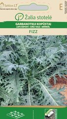 LAPU KĀPOSTI FIZZ цена и информация | Семена овощей, ягод | 220.lv