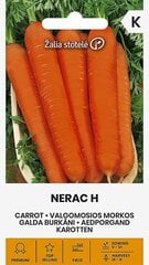 GALDA BURKĀNI NERAC H цена и информация | Семена овощей, ягод | 220.lv