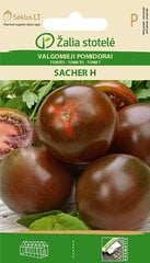 TOMĀTI SACHER H цена и информация | Семена овощей, ягод | 220.lv