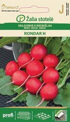 REDĪSI RONDAR H цена и информация | Семена овощей, ягод | 220.lv