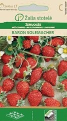 MEŽA ZEMENES BARON SOLEMACHER цена и информация | Семена овощей, ягод | 220.lv