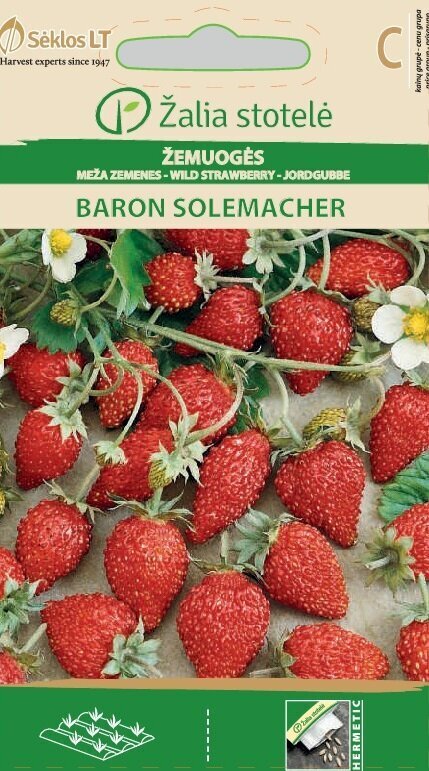 MEŽA ZEMENES BARON SOLEMACHER cena un informācija | Dārzeņu, ogu sēklas | 220.lv