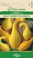 KABAČI EARLY SUMMER CROOKNECK cena un informācija | Dārzeņu, ogu sēklas | 220.lv