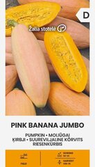 ĶIRBJI PINK BANANA JUMBO cena un informācija | Dārzeņu, ogu sēklas | 220.lv