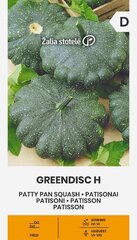 PATISONI GREENDISC H цена и информация | Семена овощей, ягод | 220.lv