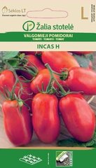 TOMĀTI INCAS H цена и информация | Семена овощей, ягод | 220.lv