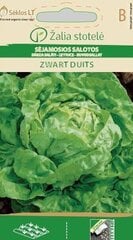 DĀRZA SALĀTI ZWART DUITS cena un informācija | Dārzeņu, ogu sēklas | 220.lv