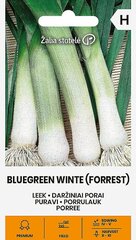 PURAVI BLAUWGROENE WINTER (FORREST) цена и информация | Семена овощей, ягод | 220.lv