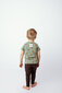 Bērnu T-krekls ar rotaļu lācīšiem Safal Kids, ādai drošs audums, sertificēts "eco-tex", ražots Igaunijā cena un informācija | Zēnu krekli | 220.lv