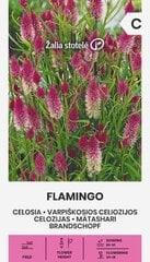ЦЕЛОЗИЯ FLAMINGO 0,3 Г цена и информация | Семена цветов | 220.lv